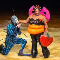 47334 OVO: 12 неожиданных фактов о новом шоу Cirque du Soleil