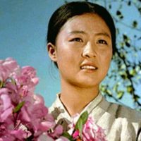 49105 5 знаковых фильмов из Северной Кореи