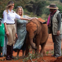 52483 По стопам Мелании Трамп, принца Уильяма и принцессы Мэри: зачем ехать в Кению