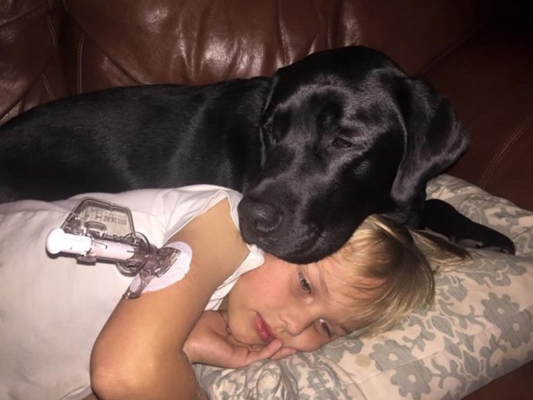Женщина проснулась от того, что пес ее стягивал с кровати. Он буквально силой потащил ее в комнату сына…
