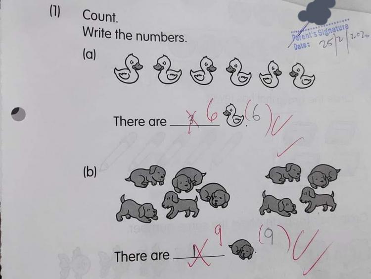 Школьница решила задачу по математике, но ее ответ не зачла учительница. Что не так?