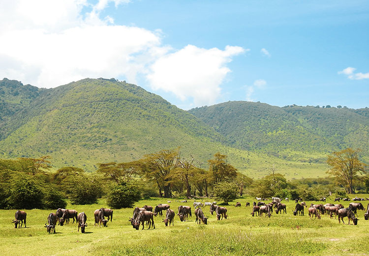 Must see Танзании: 5 причин улететь на другой конец света