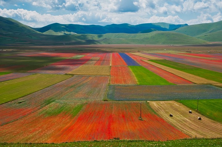 Равнины Кастеллуччо, уникальное цветочное шоу